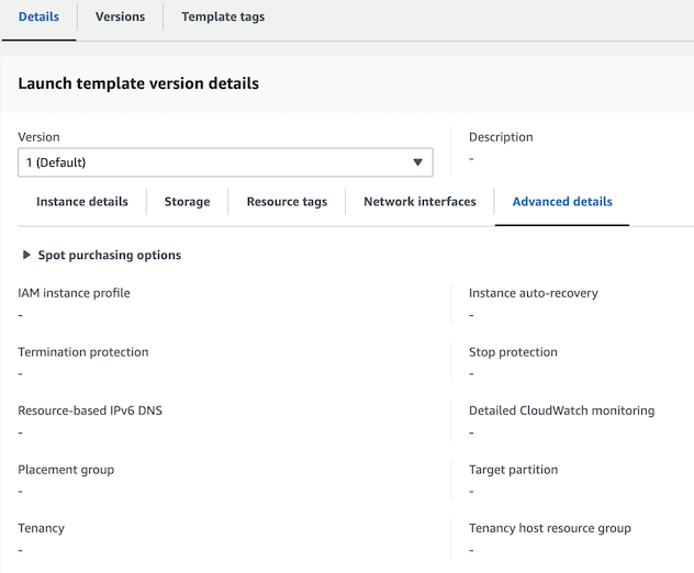 A screenshot showing AWS Launch Template purchasing option